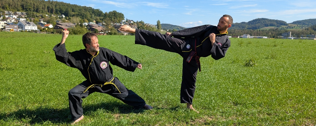 Training auf der Wiese